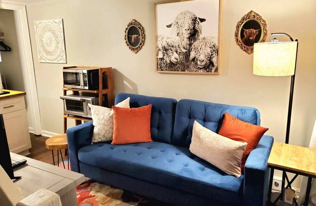 Cozy Tiny Loft near NCSU and Downtown Ral
