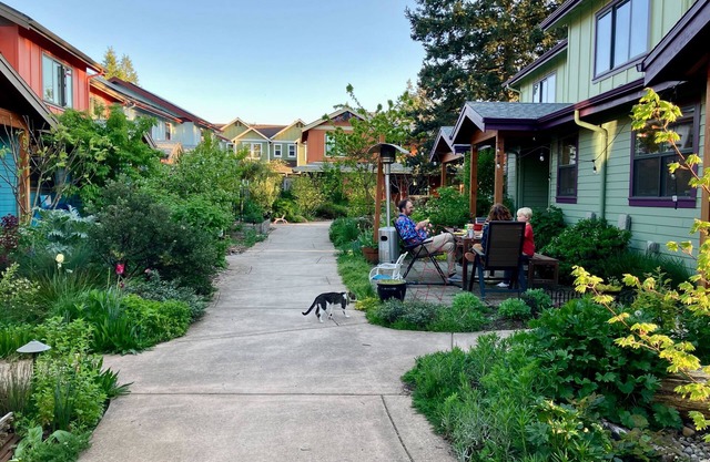 cozy townhouse in a chill Portland co-housing community - sauna, hot tub