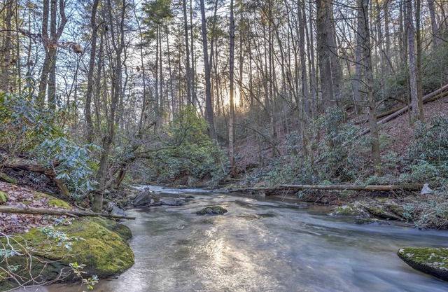 Creekside Oasis - Secluded Cabin in the Mountains on Swift Moving Creek