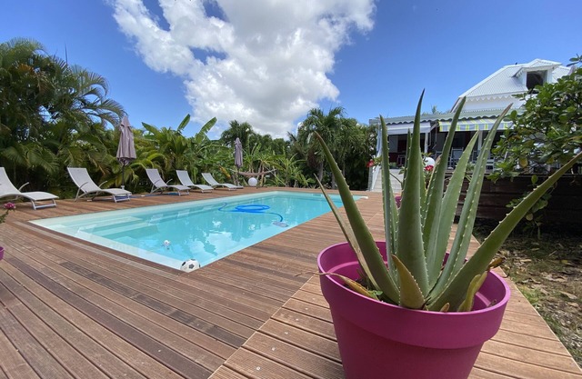 Creole villa, large garden with trees and a private pool