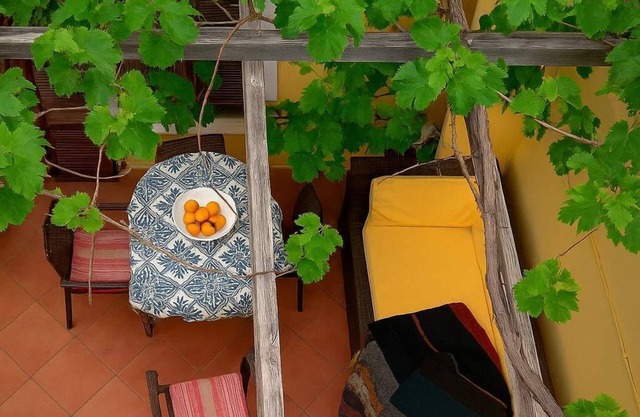 Cretan Magnolia Gem - Smari Cozy Getaway