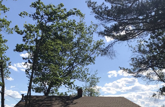 Crystal Lake Cottage Waterfront - Sandy Beach