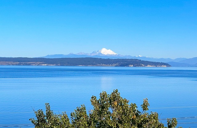 Custom estate with Puget Sound views, dual masters, fireplace, beach access