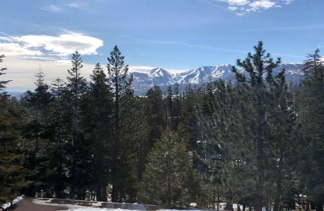Cute and cozy 1 br + loft condo with great views in Mammoth Ski & Racquet Club