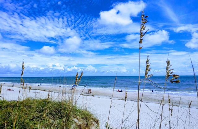 Cute Condo - great pool, 3-min walk to the Ocean, free cable & wifi!