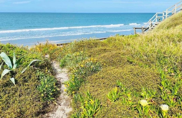 Cute little studio with beach just over the road. Sleeps 4!