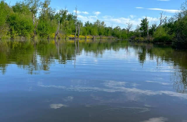 Dave’s River House