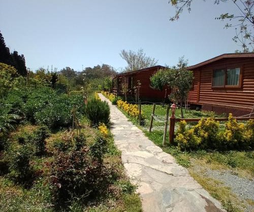 DefneWoodHome