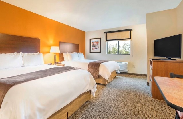 Delight in Aberdeen’s Best – Pet-Friendly Room & Kitchen