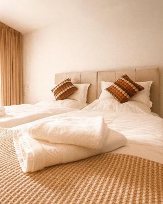 Deluxe Appartement-Frankfurt Airport
