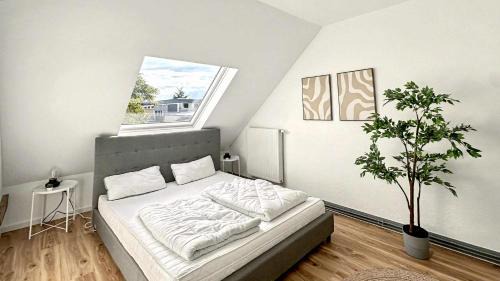 Denkmal-Apartment zentral in Krefeld mit hohen Decken