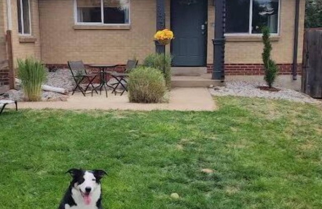 Denver Skyland 2 Br 1 Ba Home Extended Stay