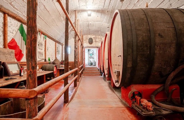 Dimora Perla di Villa: Historic Wine Retreat & Cellar Tour near Bernina Express