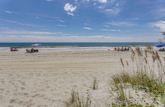 Direct Beach Access! Walkable Condo on Ocean Blvd