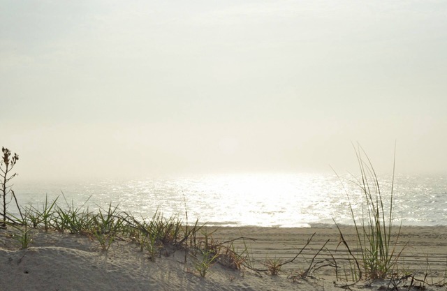 Direct Ocean Front, Beautiful, Bright Corner Condo, Incredible Location