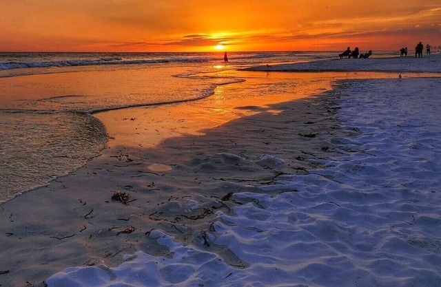 Directly on Panama City Beach! 5 STAR, Property, bring your dog!n