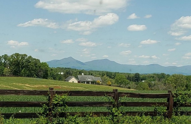 Discounted Rate July 10-20! Quiet House Close to SML and Liberty University