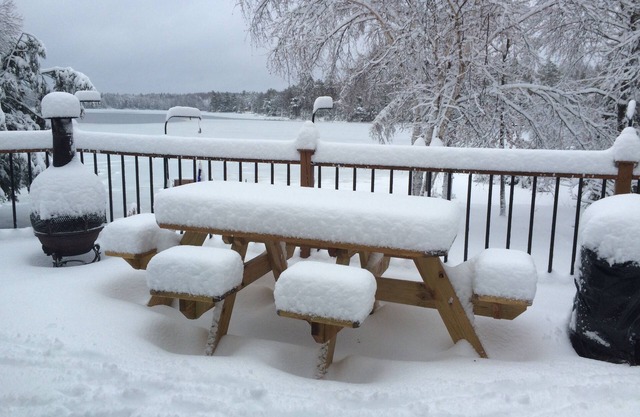 Discover your tranquil getaway - Northwoods Cabin on ATV/Snowmobile trail