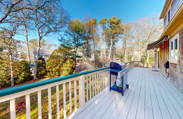 Dog-friendly colonial, firepit, grill, smart TVs, & internet