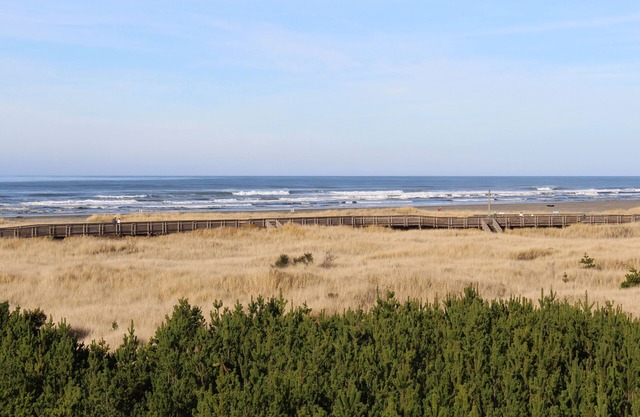 Dog-friendly oceanfront condo with electric fireplace - walk to the beach