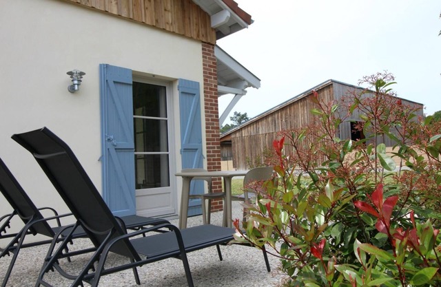 DOMAINE DU FLAMAND - Gite DUNE