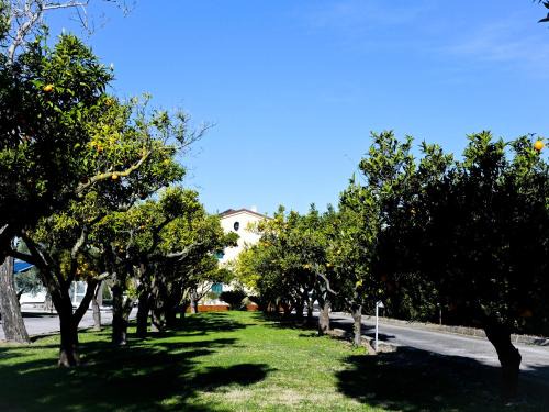DON PEPPE ROOMS : Villaggio Green