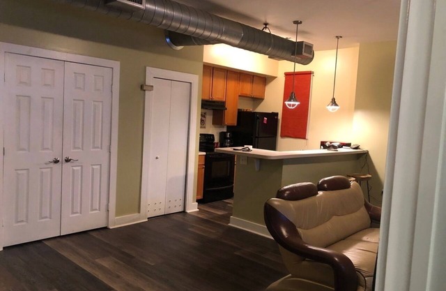 Downtown ATLANTA CONDO 10min from all attraction