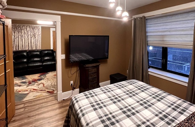 Downtown Rochester Contemporary Flat #3