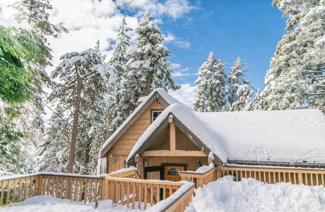 Dream Cabin