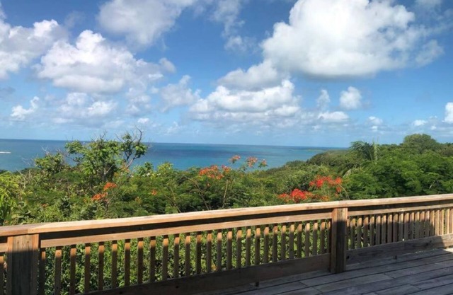 Dream Viewn