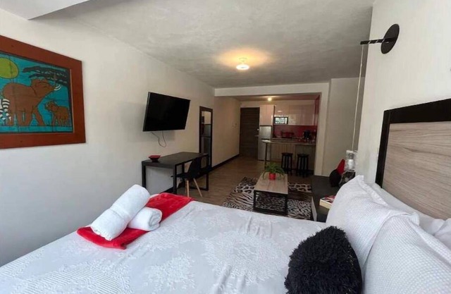 DST1 Convenient studio in zone 15