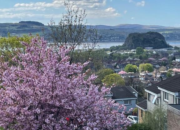 Dumbarton With A View