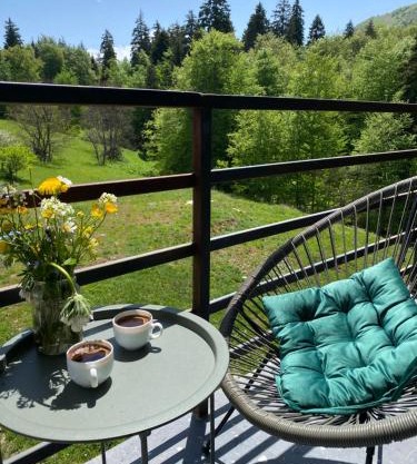 Duplex apartment near the forest