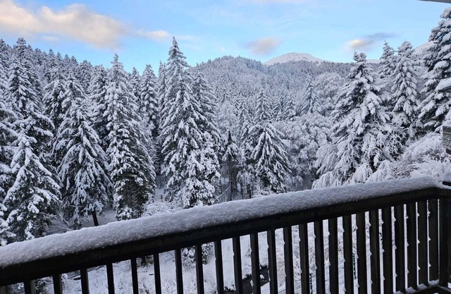 Duplex sleeps 4/6, at the foot of the slopes, ideal for families.