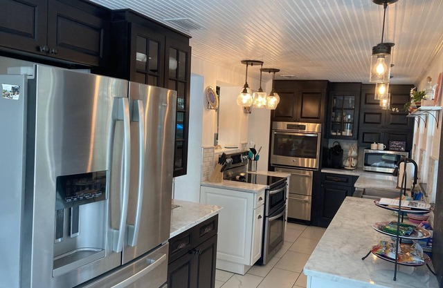 Dwntwn Ozona Bungalow! Dog friendly! 2 blocks to Pinellas Trail, brewery, eats!