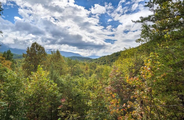 Eagle's Nest Hideaway