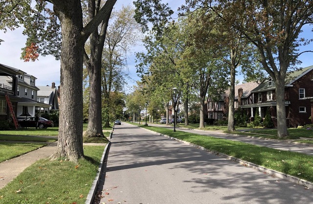 East Orchard - One Block From the River