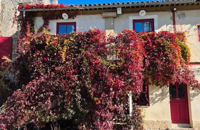 East Studio – Château Barbebelle Wine Estate Provence