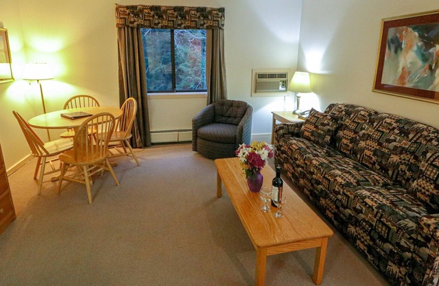 Efficiency with Sleeper Sofa only 221