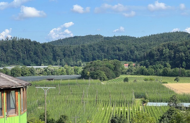 Einzigartiger Panoramablick mit Terrasse Nähe Tettnang Bodensee und Messe