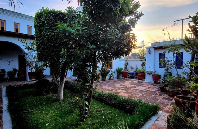 Elegant Home in Centro Historico Oaxaca