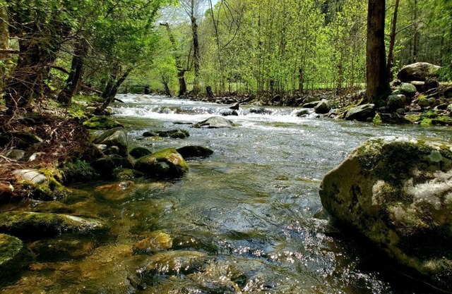 Elk Run is a beautiful, two bedroom cabin situated directly on Cosby Creek.