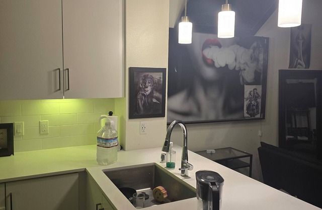 Elvis' love chamber private and quiet and crazy amenities