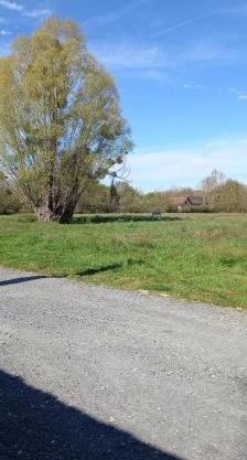 emplacement pour toile de tente