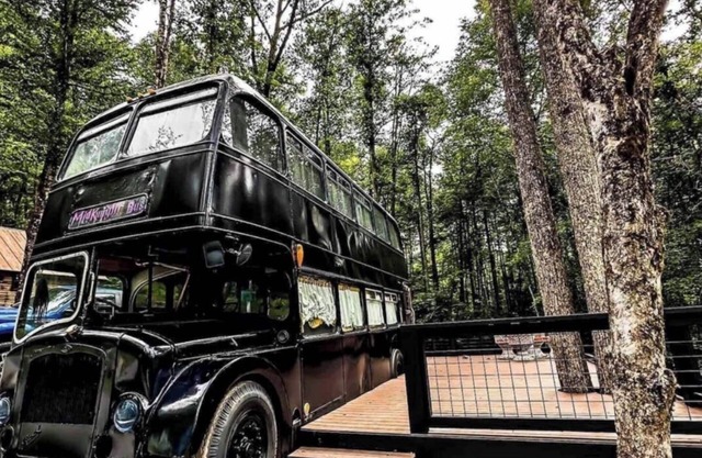 Enchanted MidKnight Bus with Loft, Firepit, Petting Zoo & Wizarding Adventure