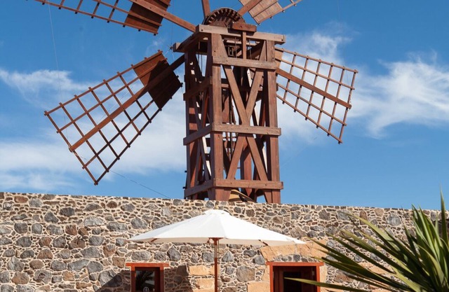 Enjoy a vacation in the museum