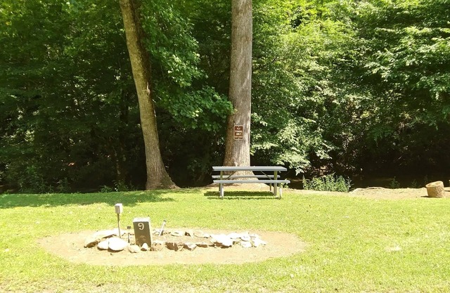 Enjoy full hookups at our pristine Creekside for RVs, small campers, tents.