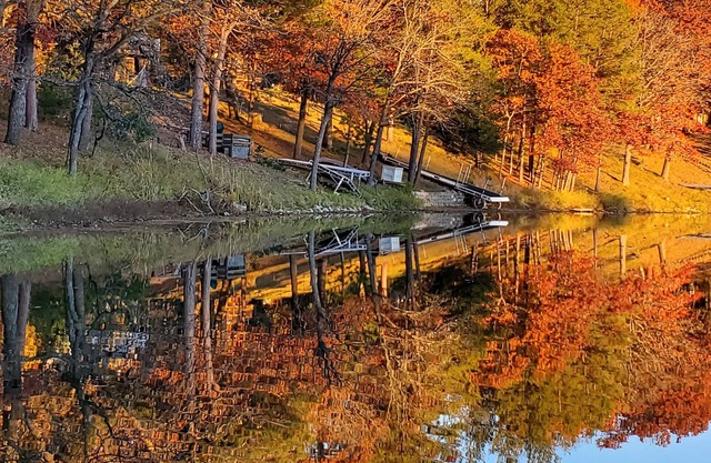 Enjoy the Fall Colors "Lily Pad" cabin
