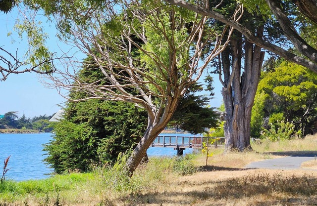 Enjoyable 1-bedroom in Emeryville, Marina views.