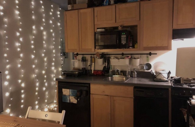 Entire 2 bedroom apt in the heart of East Villagen